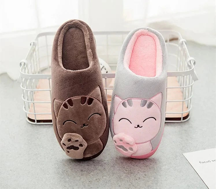 Chausson chat - Welcome