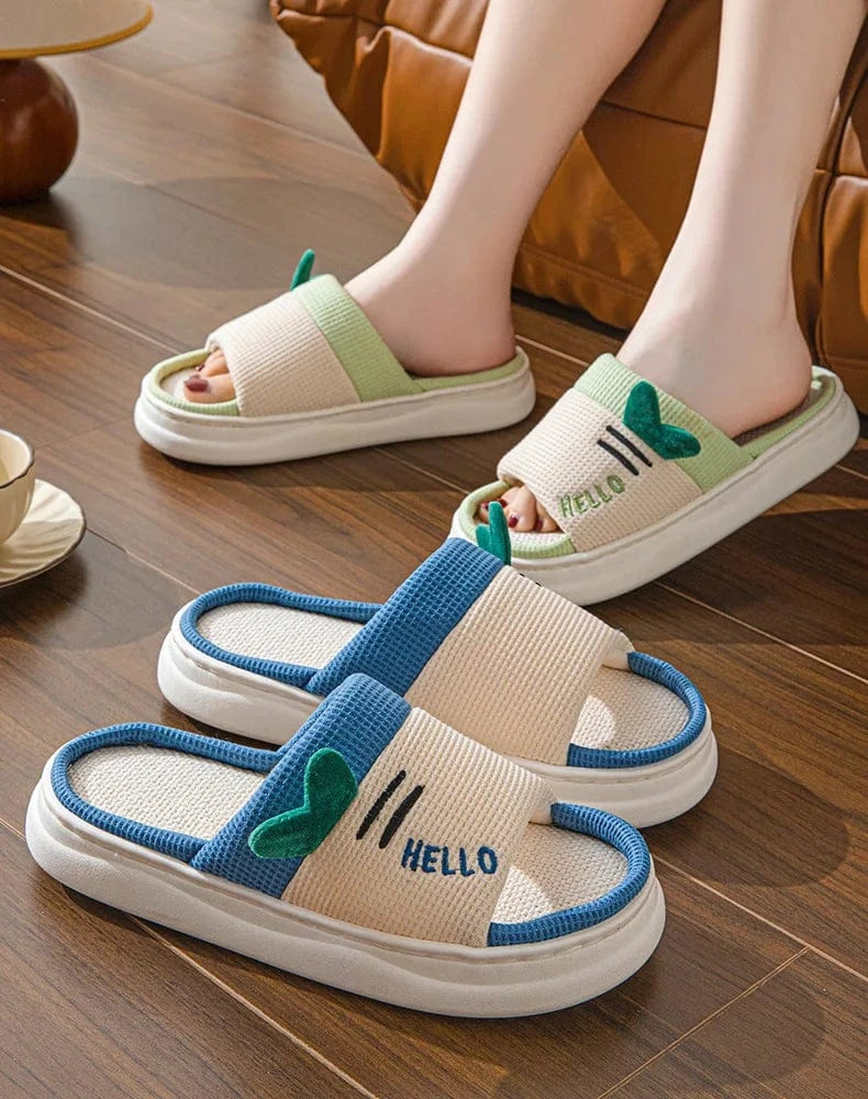 Chausson rigolo