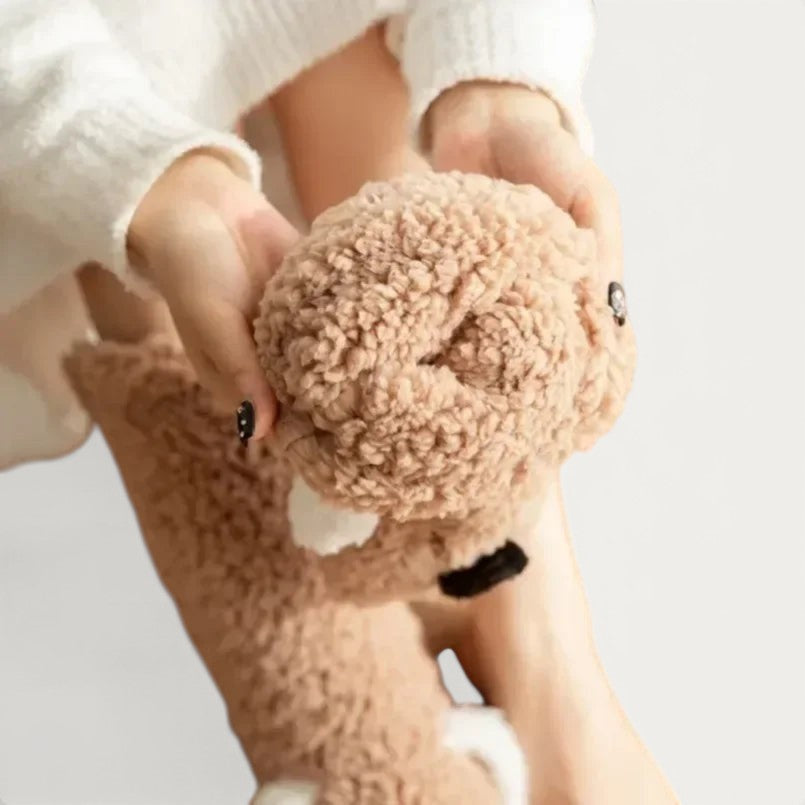 Chausson chaussette femme