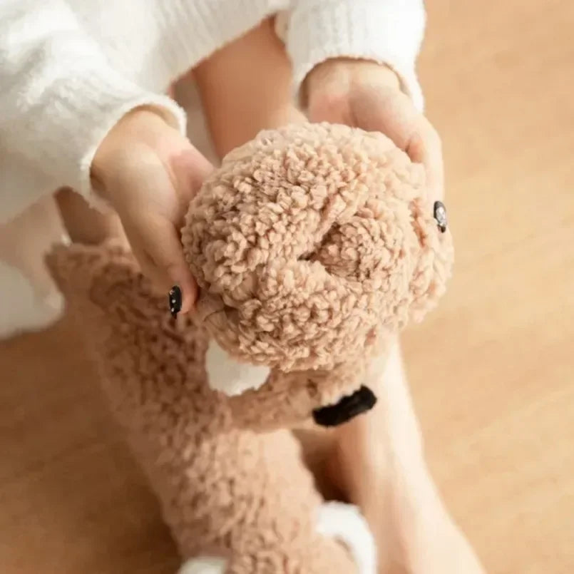 Chausson chaussette femme