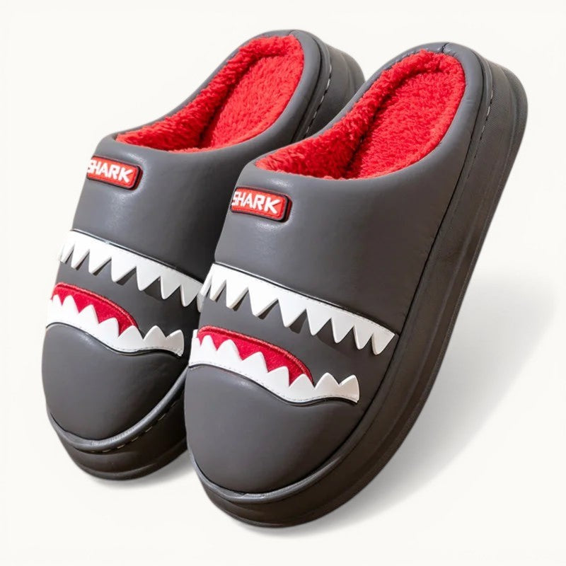 Chausson requin