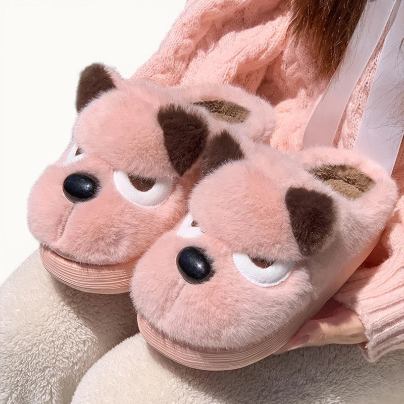 Chausson chiens