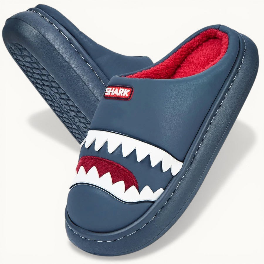 Chausson requin