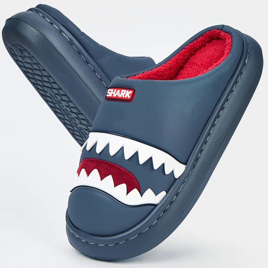 Chausson requin