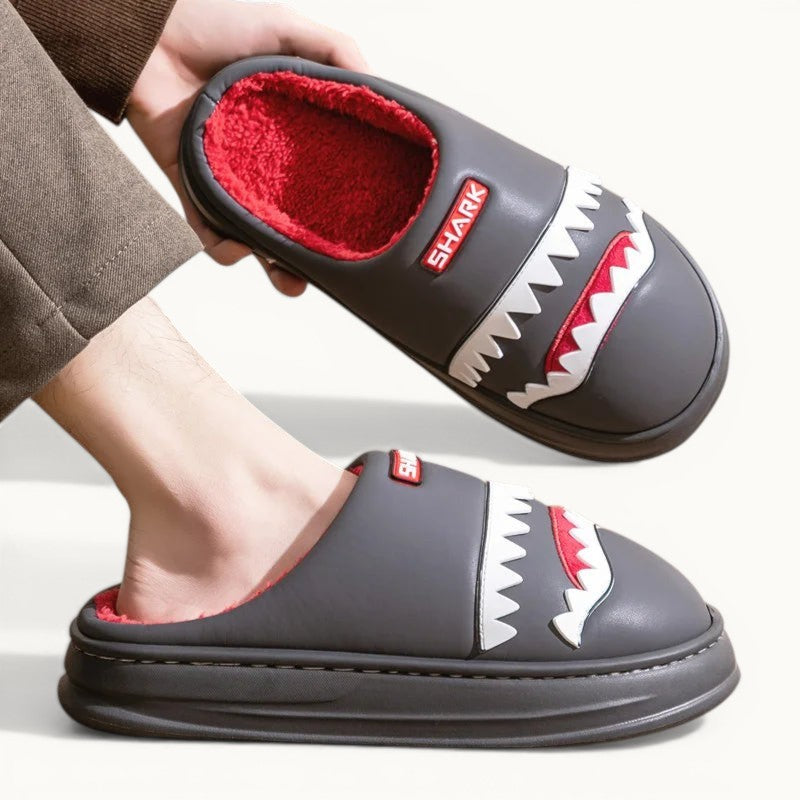 Chausson requin