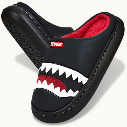 Chausson requin