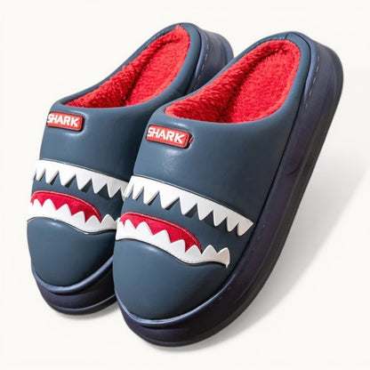 Chausson requin