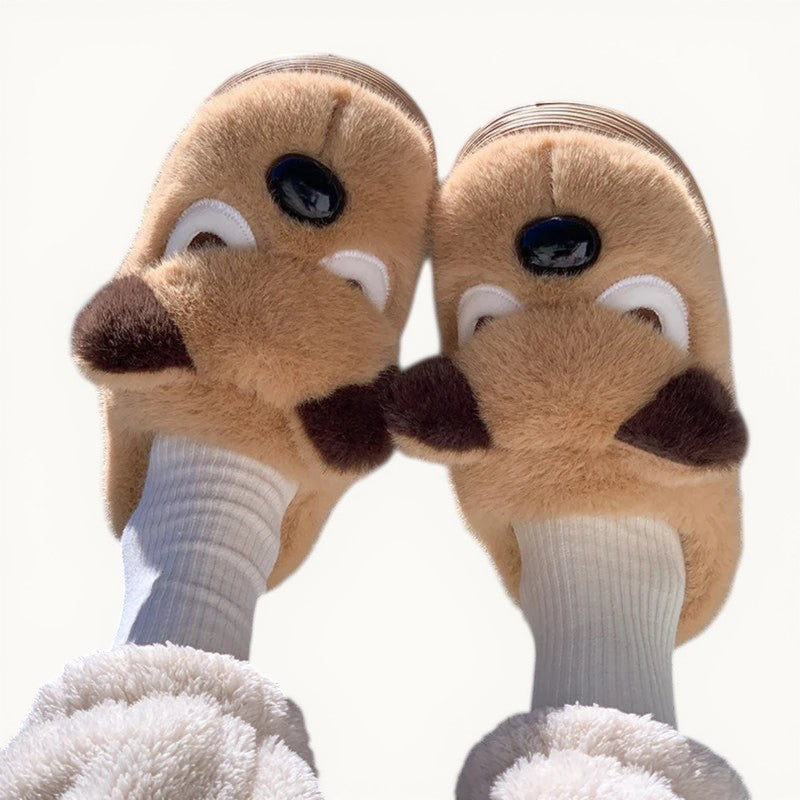 Chausson chiens