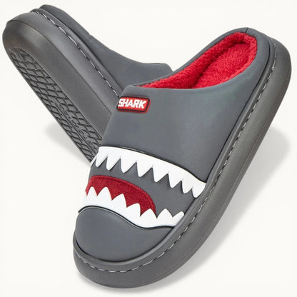 Chausson requin