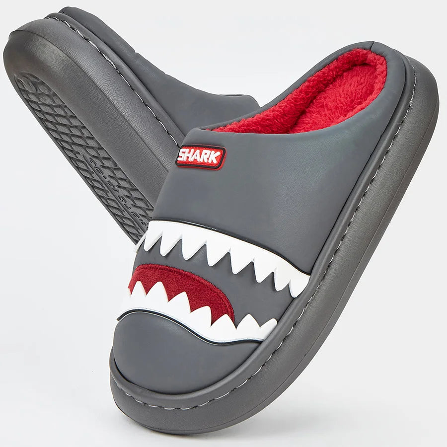 Chausson requin