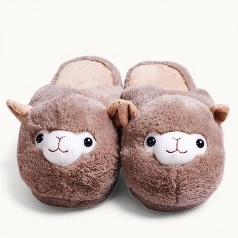 Chausson ALPAGA Marron / 35