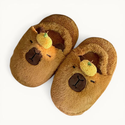 Chausson Capybara Kawaii