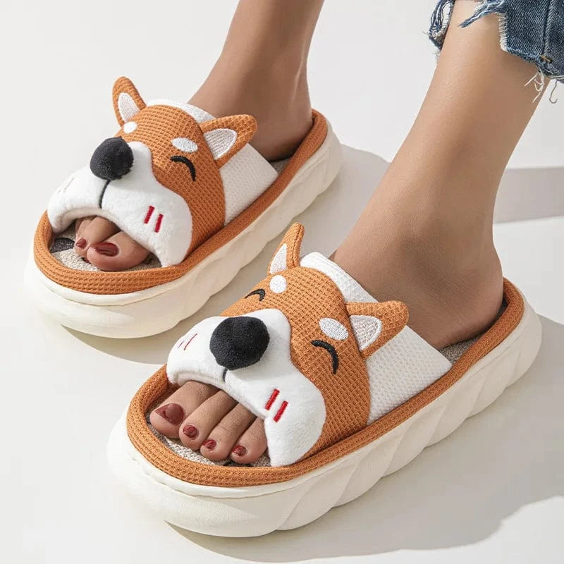 Chausson chien - Wouf Orange / 35-36