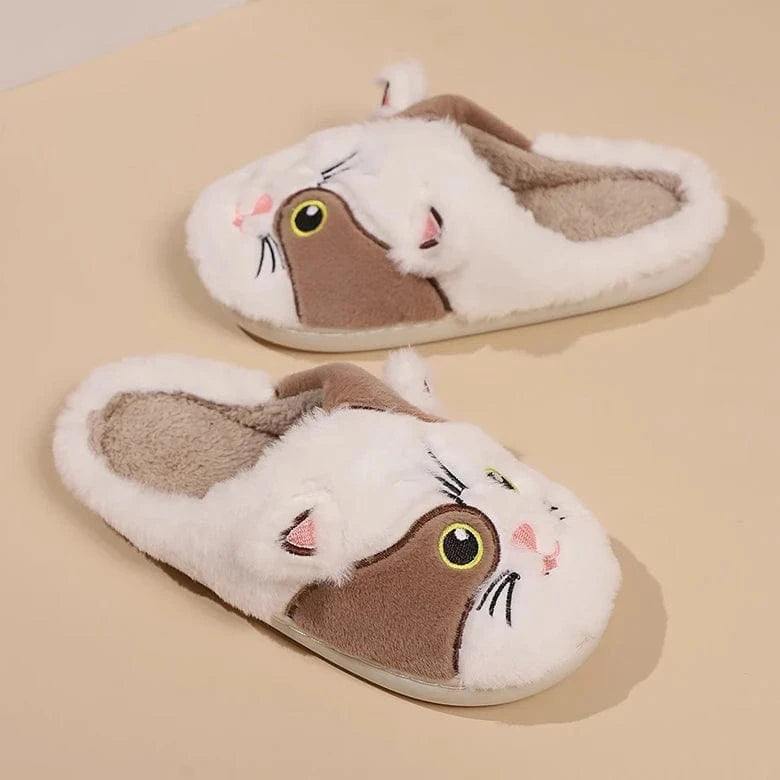 Chausson fourrure - Catsy