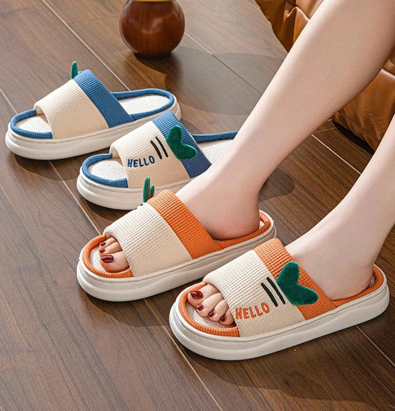 Chausson rigolo