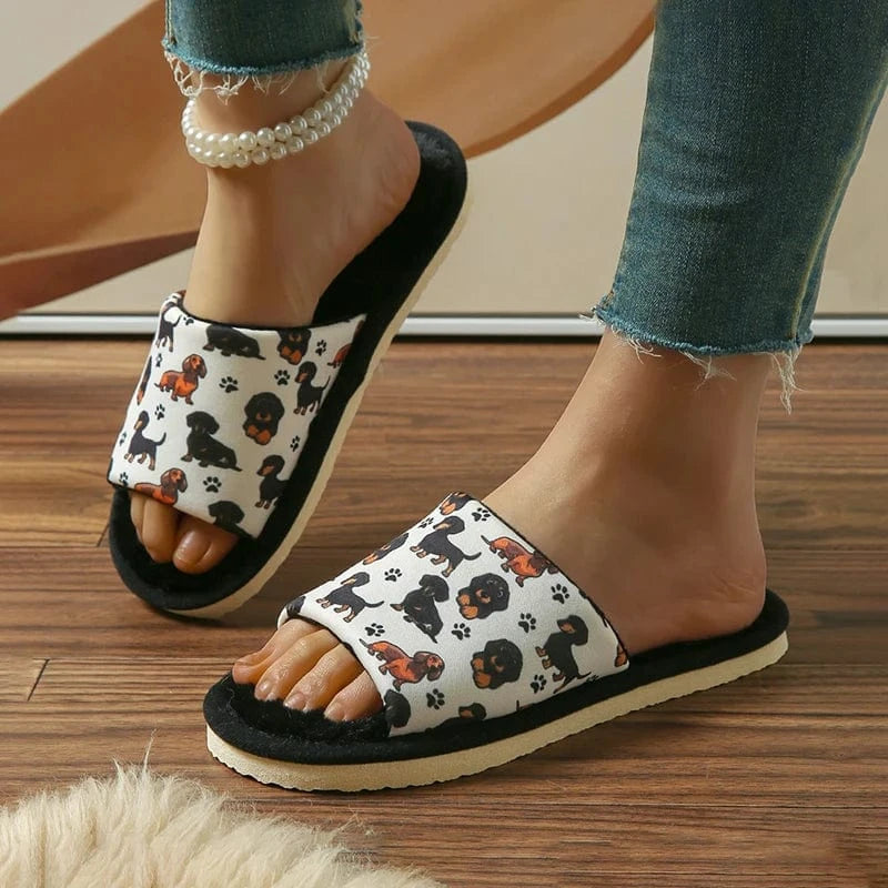 Chausson Teckel - Street