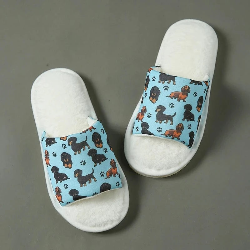 Chausson Teckel - Street Bleu / 37-38