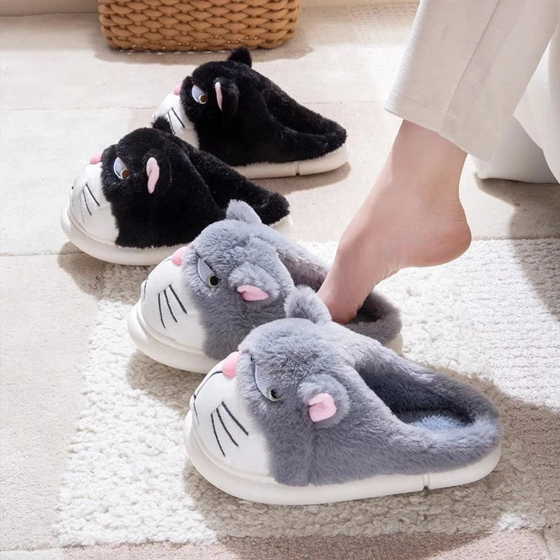 Gros chausson - Cat