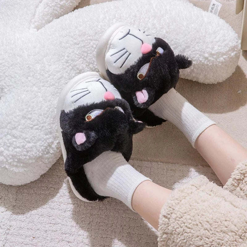 Gros chausson - Cat