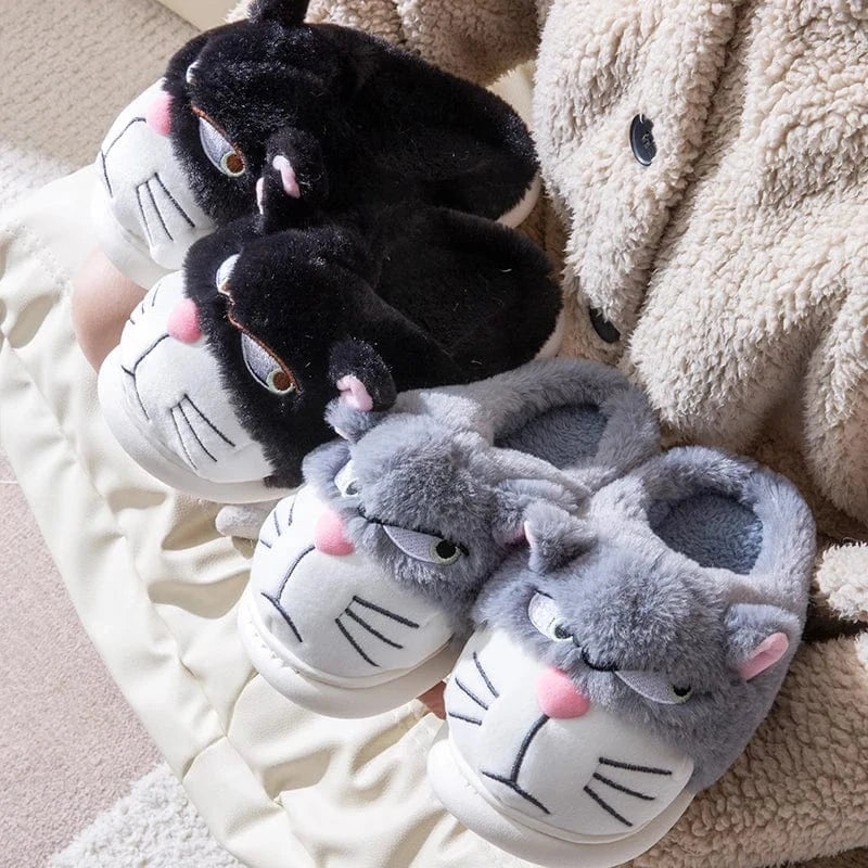 Gros chausson - Cat
