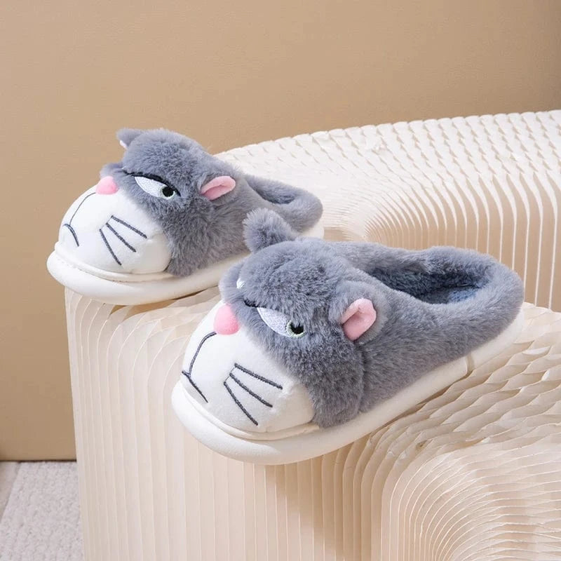Gros chausson - Cat