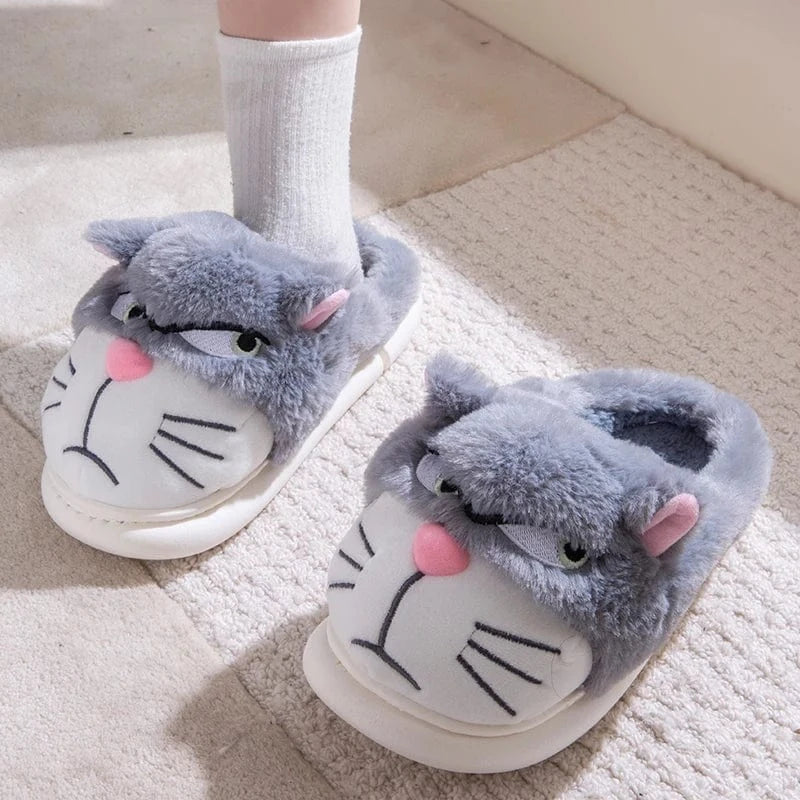 Gros chausson - Cat