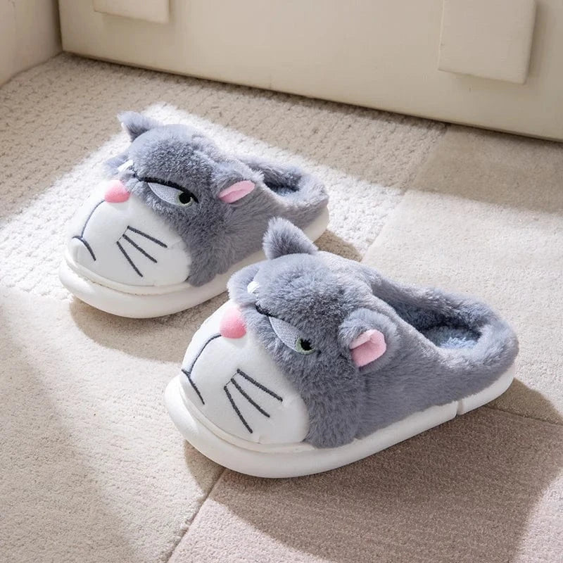 Gros chausson - Cat