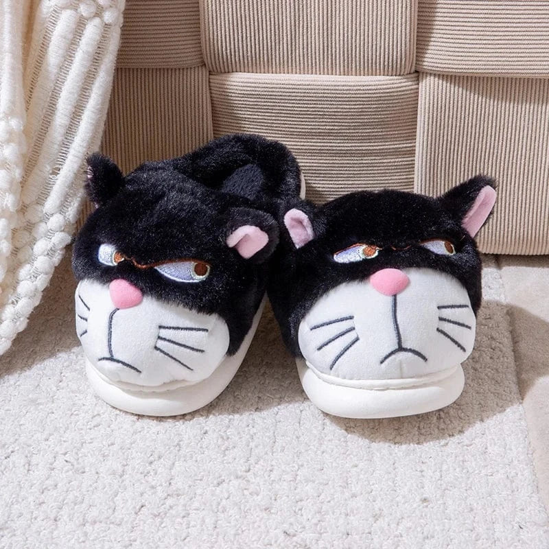 Gros chausson - Cat