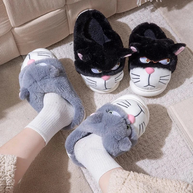 Gros chausson - Cat