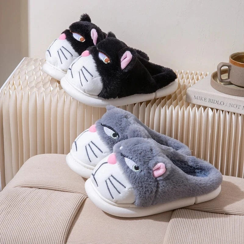 Gros chausson - Cat