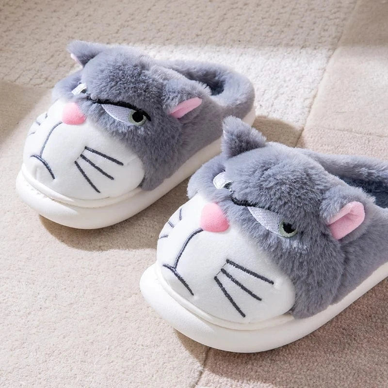 Gros chausson - Cat