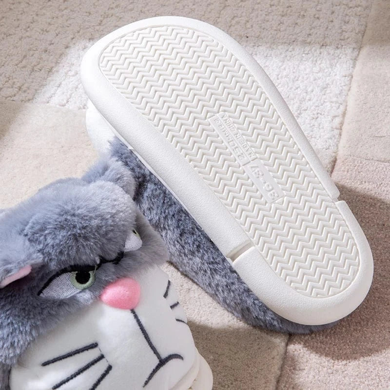 Gros chausson - Cat