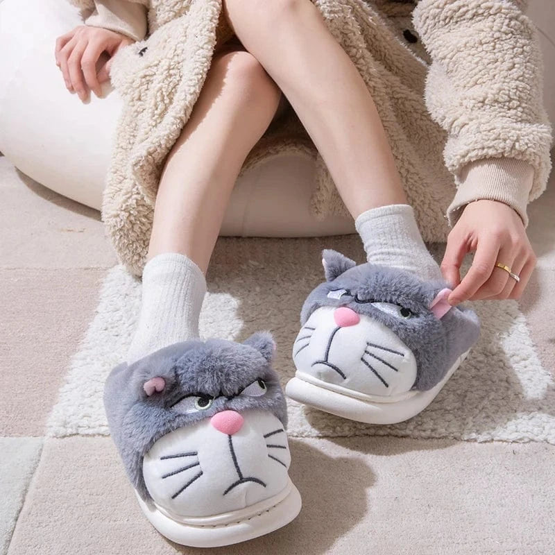 Gros chausson - Cat