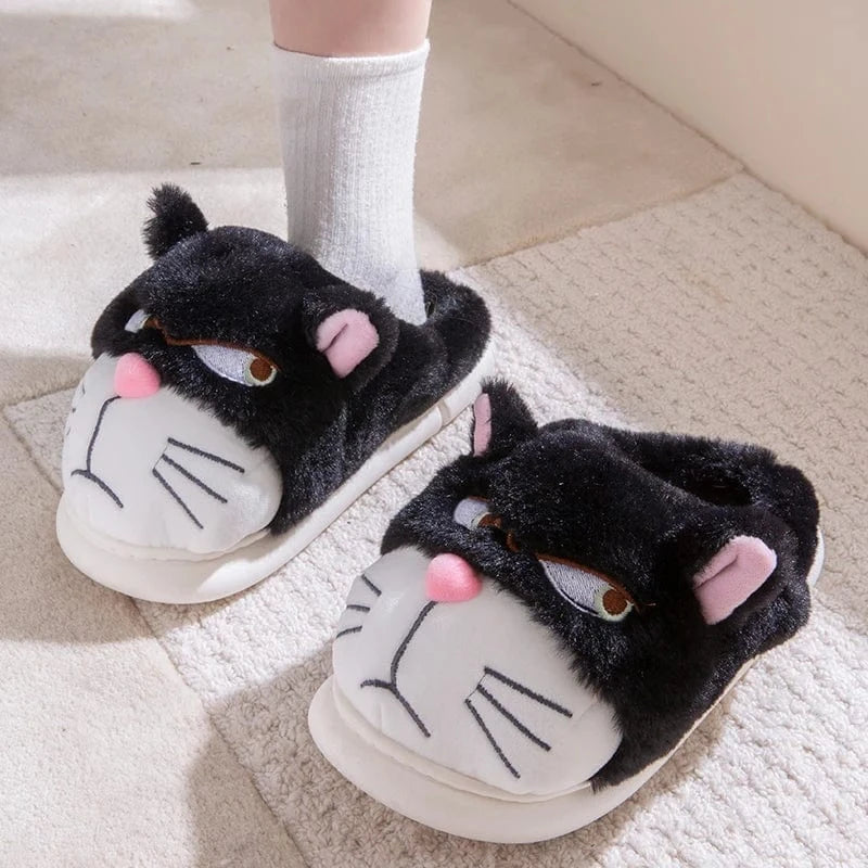 Gros chausson - Cat