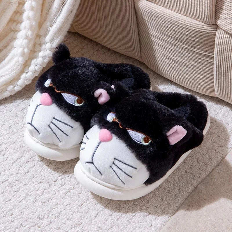 Gros chausson - Cat