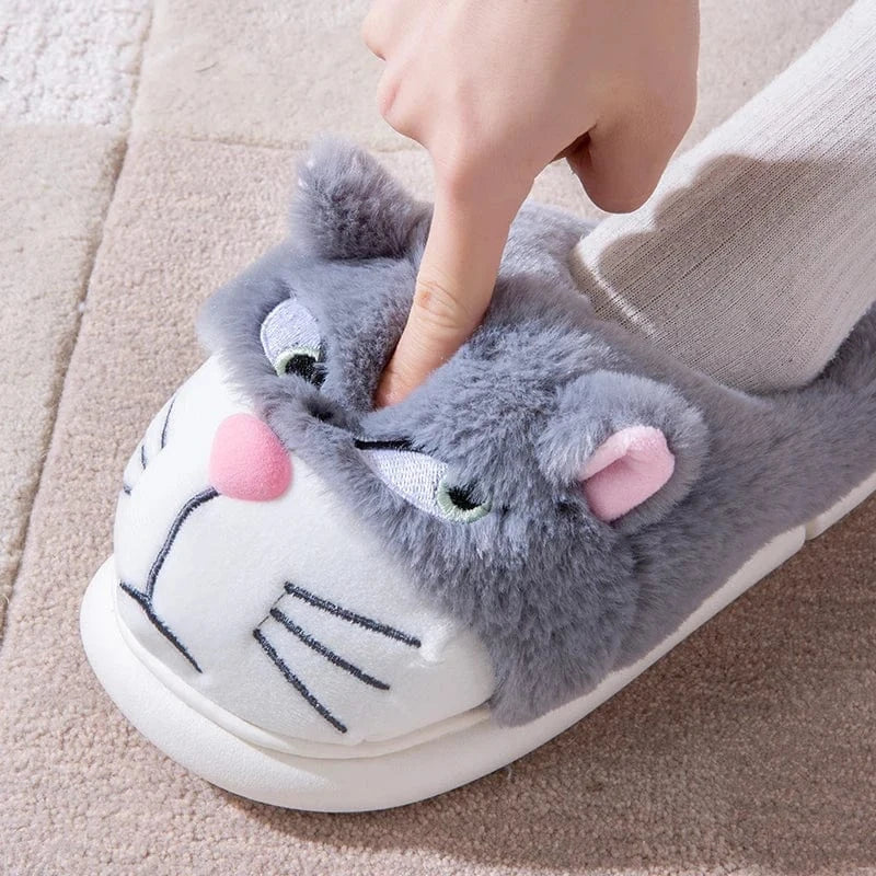 Gros chausson - Cat