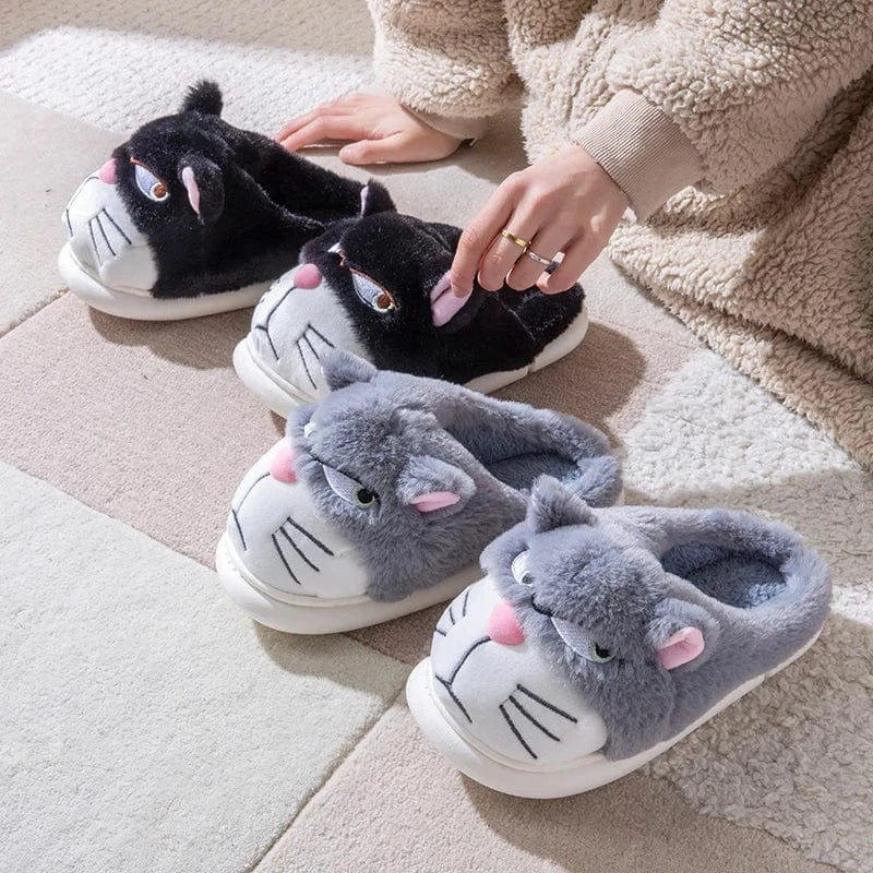 Gros chausson - Cat
