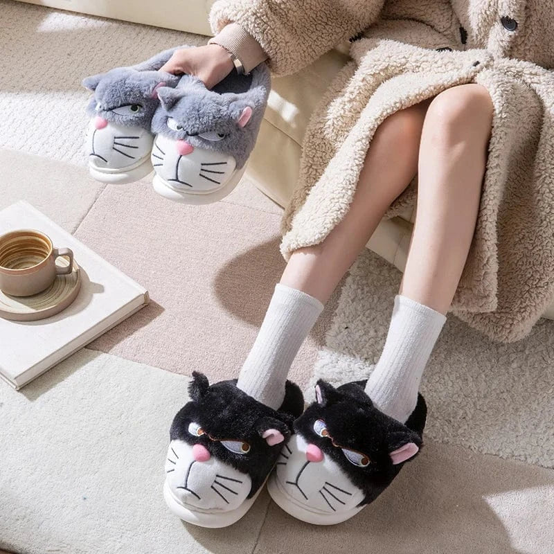 Gros chausson - Cat