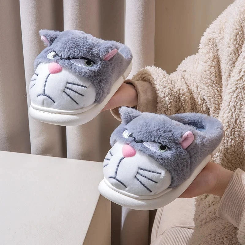 Gros chausson - Cat