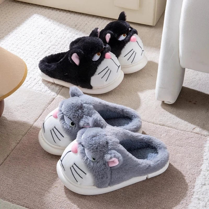 Gros chausson - Cat