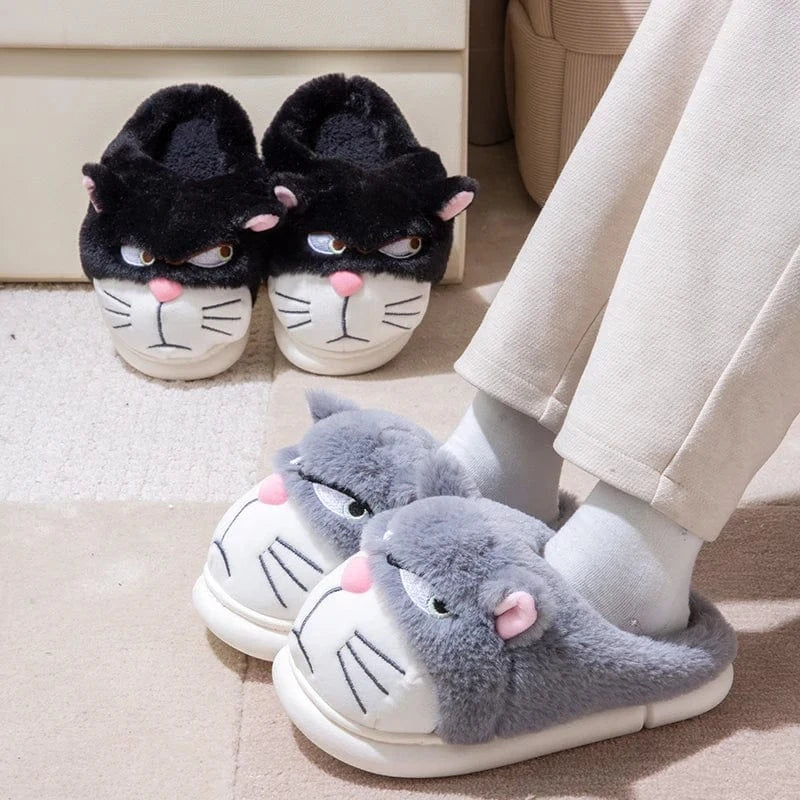 Gros chausson - Cat