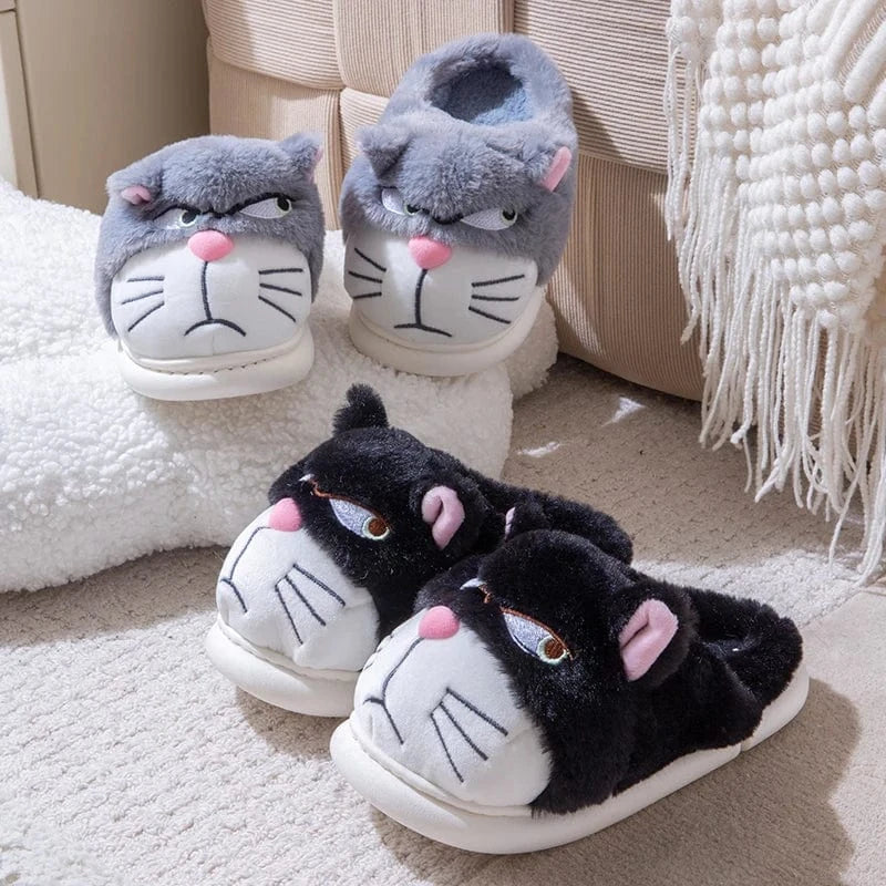Gros chausson - Cat